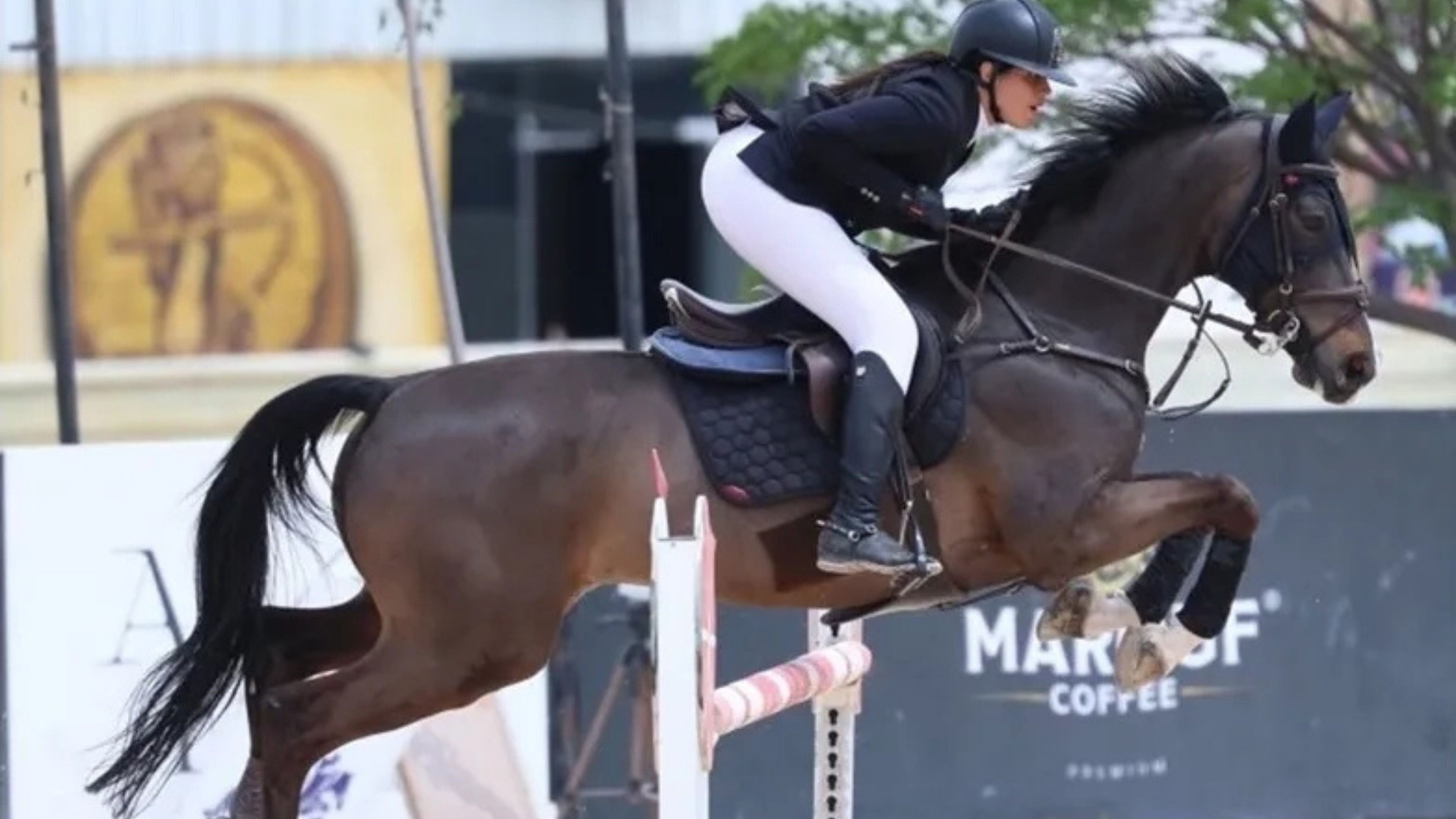 اختتام منافسات الجولة الثانية من الدوري الأردني لفروسية القفز عن الحواجز