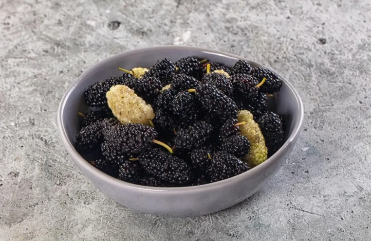 مستخلص من التوت يحسن صحة الأمعاء ويقلل الالتهابات في التجارب المخبرية