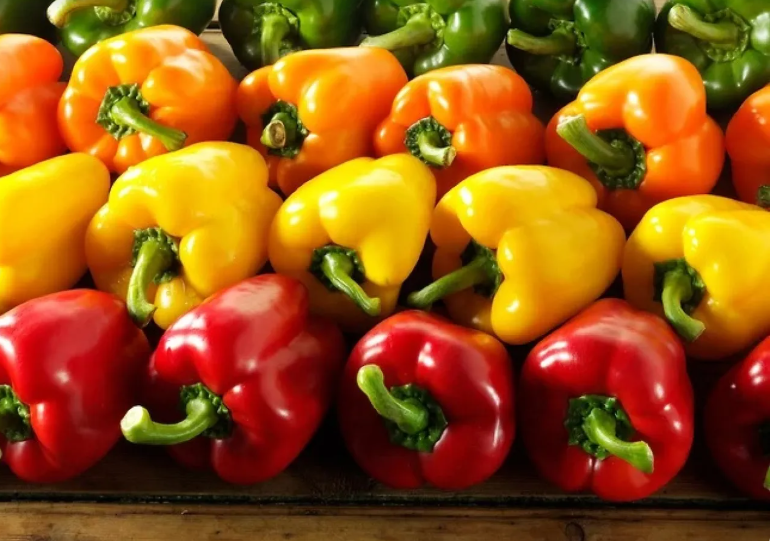 الفلفل الأحمر أم الأخضر ..  أيهما الأكثر فائدة صحيا؟